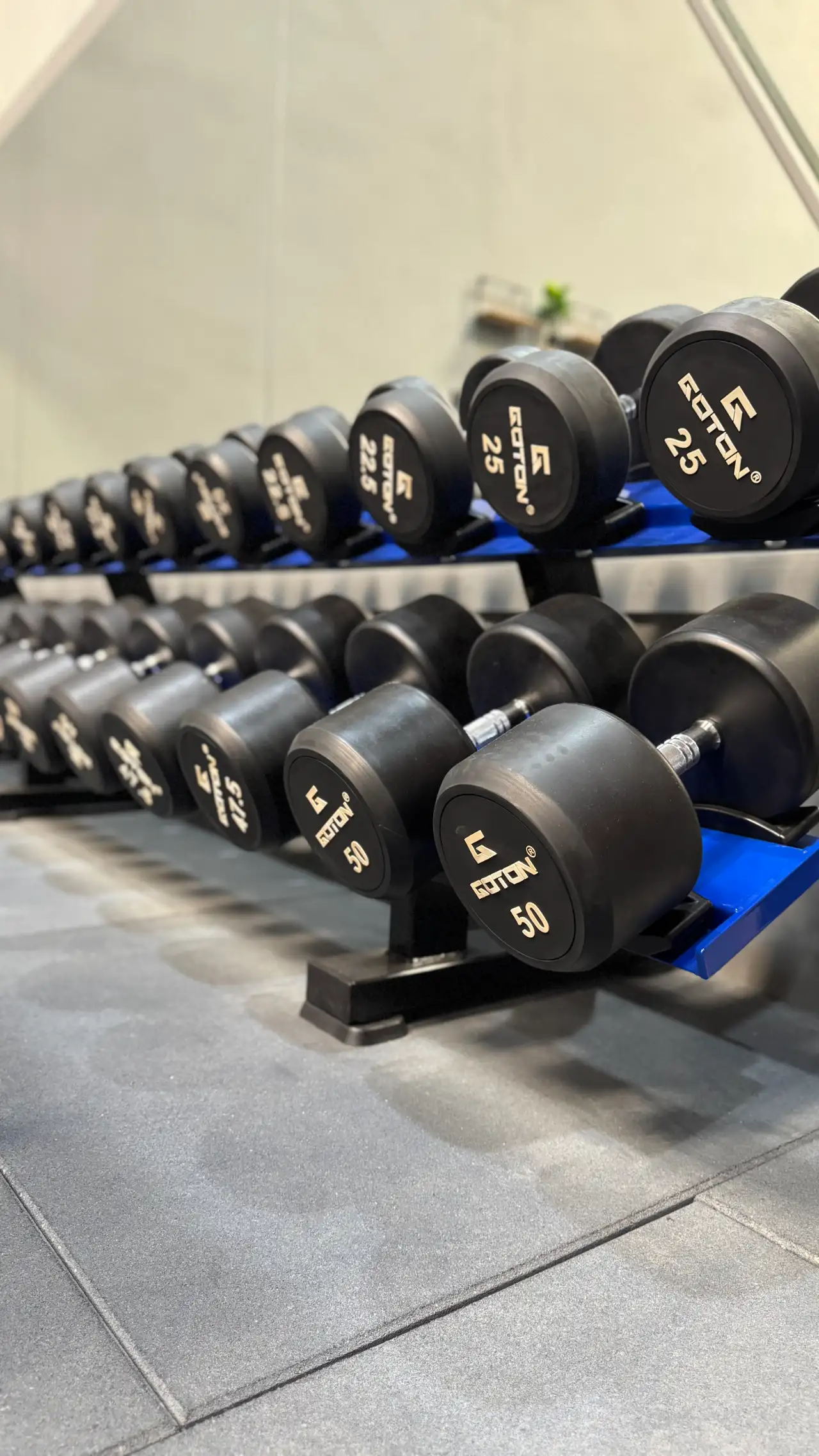 Dumbbells from 25 to 50 kg at a private gym in Al Quoz