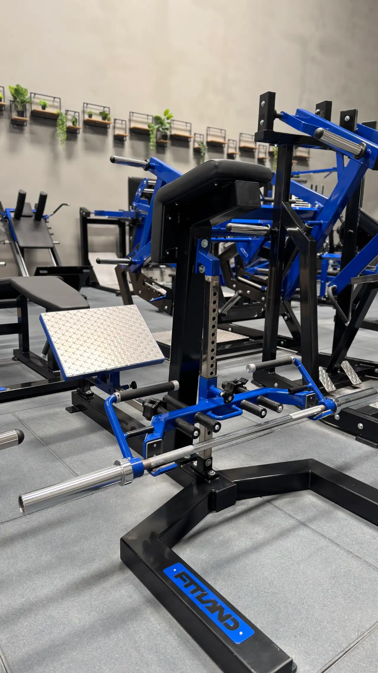Premium strength equipment for Ultimate personal training clients