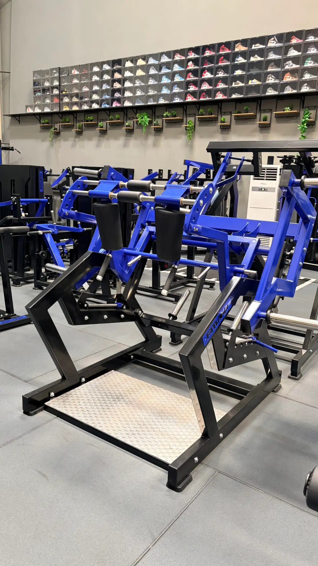 Row of plate-loaded machines in a Dubai private gym